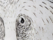 Taika_Panda_Ceramic_Plate_by_Oiva_Toikka_for_Nuutajärvi,_Finland,_1983
