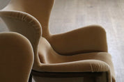 Set_of_2_Midcentury_Modern_Sculptural_Lounge_Chairs_In_Mohair_And_Wood,_Italy_1950s