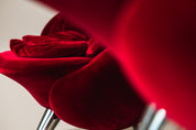 Set_of_2_Rose_Lounge_Chairs_by_Masanori_Umeda_for_Edra_in_Red_Velvet,_Italy_1990