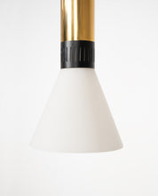 Set_of_2_Stilnovo_pendant_lamps_model_1135/2,_1960s