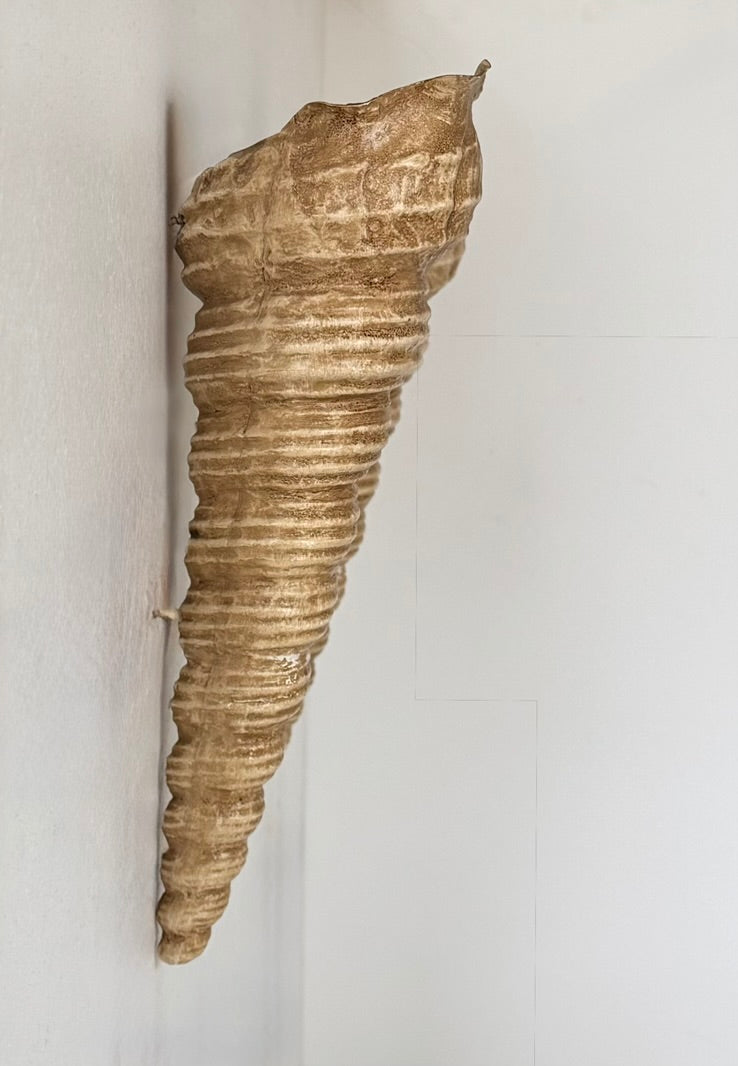 Set_of_2_French_Fiberglass_Wall_Sconces,_Rare_Large_Vintage,_1960s