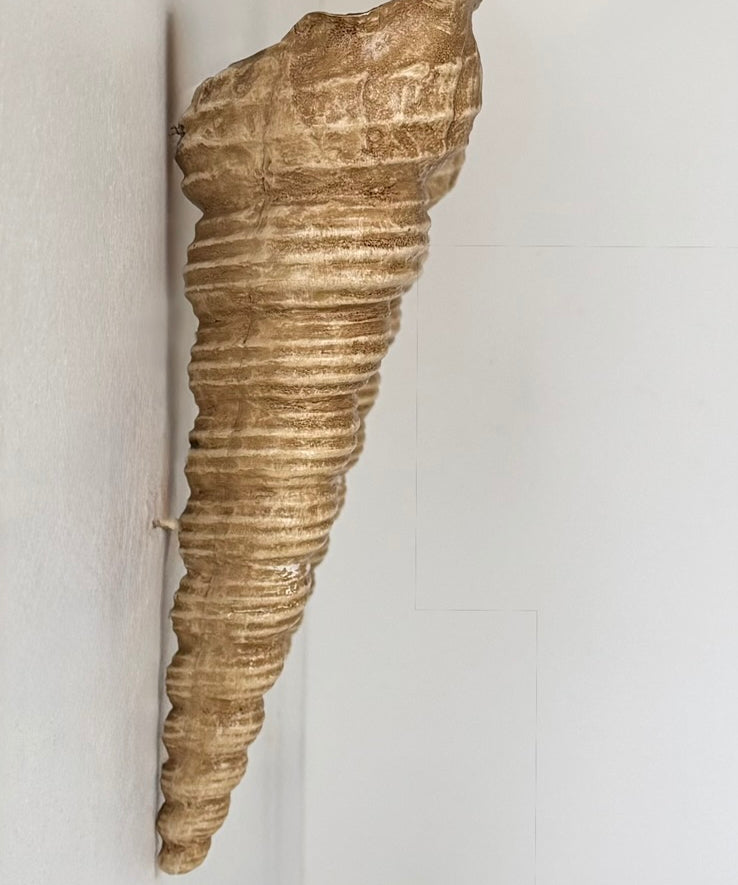 Set_of_2_French_Fiberglass_Wall_Sconces,_Rare_Large_Vintage,_1960s