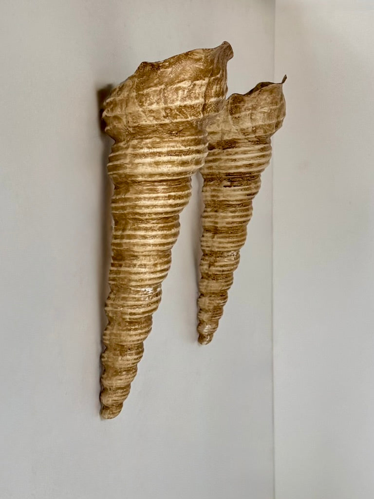 Set_of_2_French_Fiberglass_Wall_Sconces,_Rare_Large_Vintage,_1960s