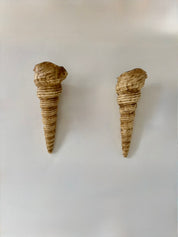 Set_of_2_French_Fiberglass_Wall_Sconces,_Rare_Large_Vintage,_1960s