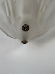 Set_of_2_French_Shell_Shaped_Sandblasted_Glass_Wall_Sconces,_Vintage_Wall_Lights,_1970s