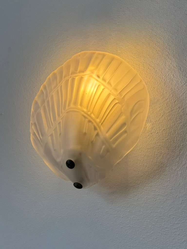 Set_of_2_French_Shell_Shaped_Sandblasted_Glass_Wall_Sconces,_Vintage_Wall_Lights,_1970s