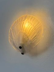 Set_of_2_French_Shell_Shaped_Sandblasted_Glass_Wall_Sconces,_Vintage_Wall_Lights,_1970s