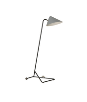 Rare_Floor_Lamp_by_H.Th.J.A._Busquet_for_Hala_Zeist,_Netherlands,_1955