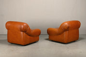 Set_of_2_Depositato_Lounge_Chairs_by_Rino_Maturi_for_Mimo_Padova,_Italy,_1970s