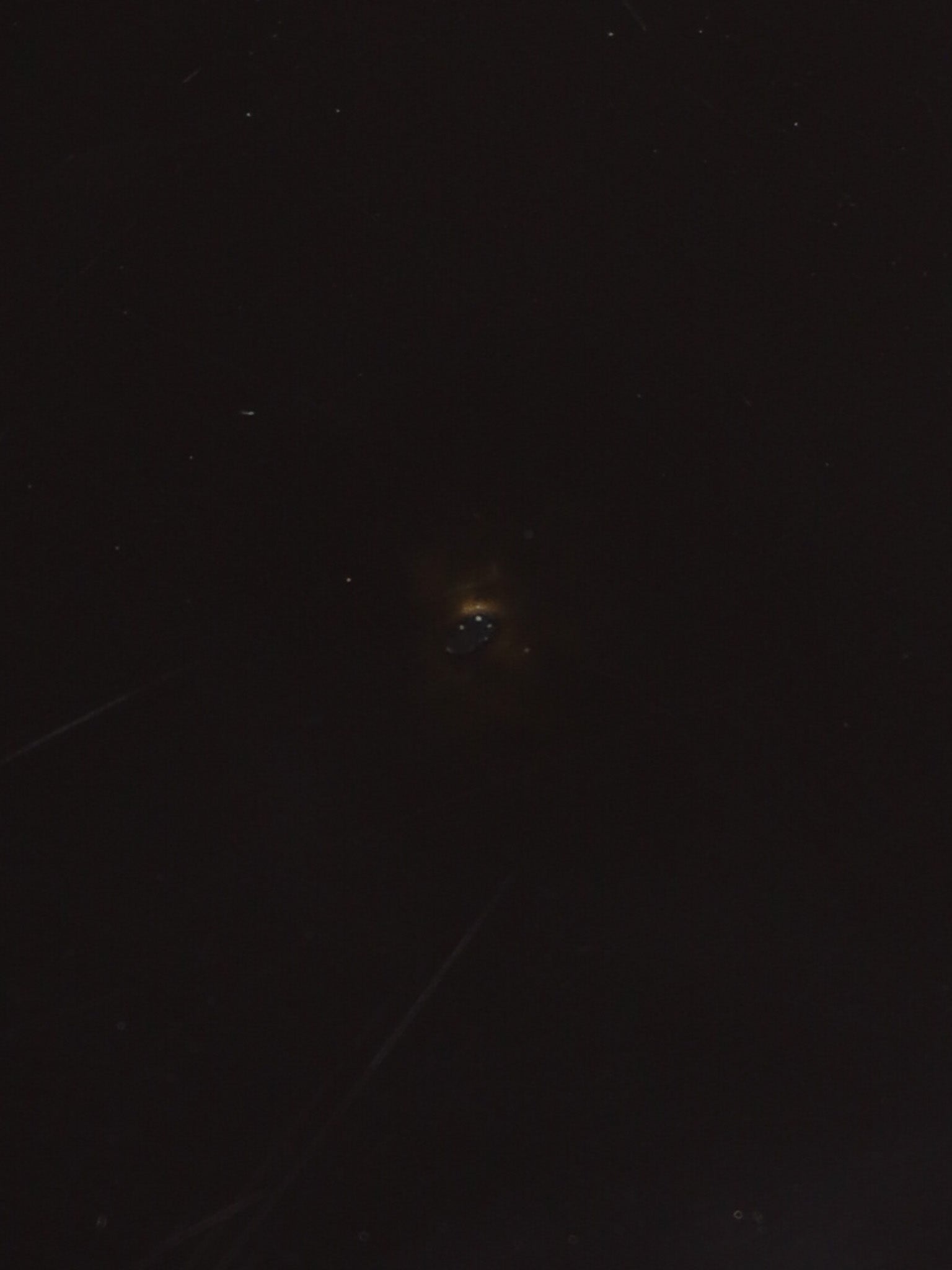 Round_dining_table_Kartell_Castelli_Ferrieri_Gardella,_Italy_1964