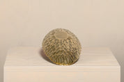 Handmade_Oval_Solid_Brass_Bowl_with_Hammered_Textured_Exterior_and_Smooth_Interior