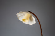 Scandinavian_Modern_wooden_curved_floor_lamp_Narcissus,_c_1940s,_Sweden