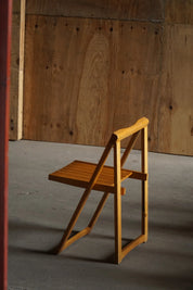 Set_of_12_Folding_Chairs_by_Aldo_Jacober_and_Pierangela_D’Aniello_for_Alberto_Bazzani,_Italy_1960s