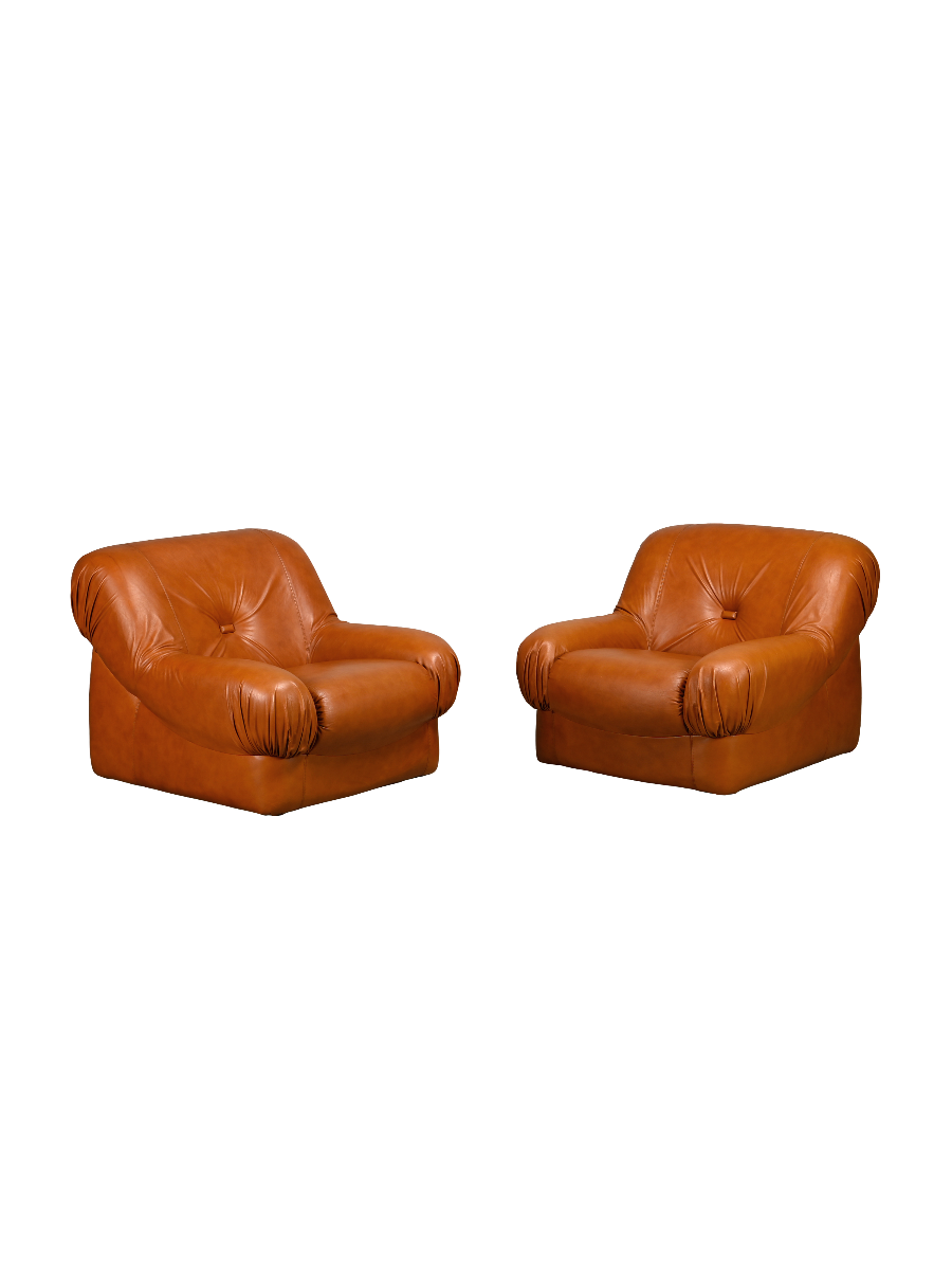 Set_of_2_Depositato_Lounge_Chairs_by_Rino_Maturi_for_Mimo_Padova,_Italy,_1970s