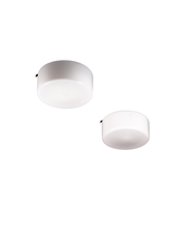 Set_of_2_Finnish_Opaline_Glass_Flush_Mount_Lamps,_30_cm