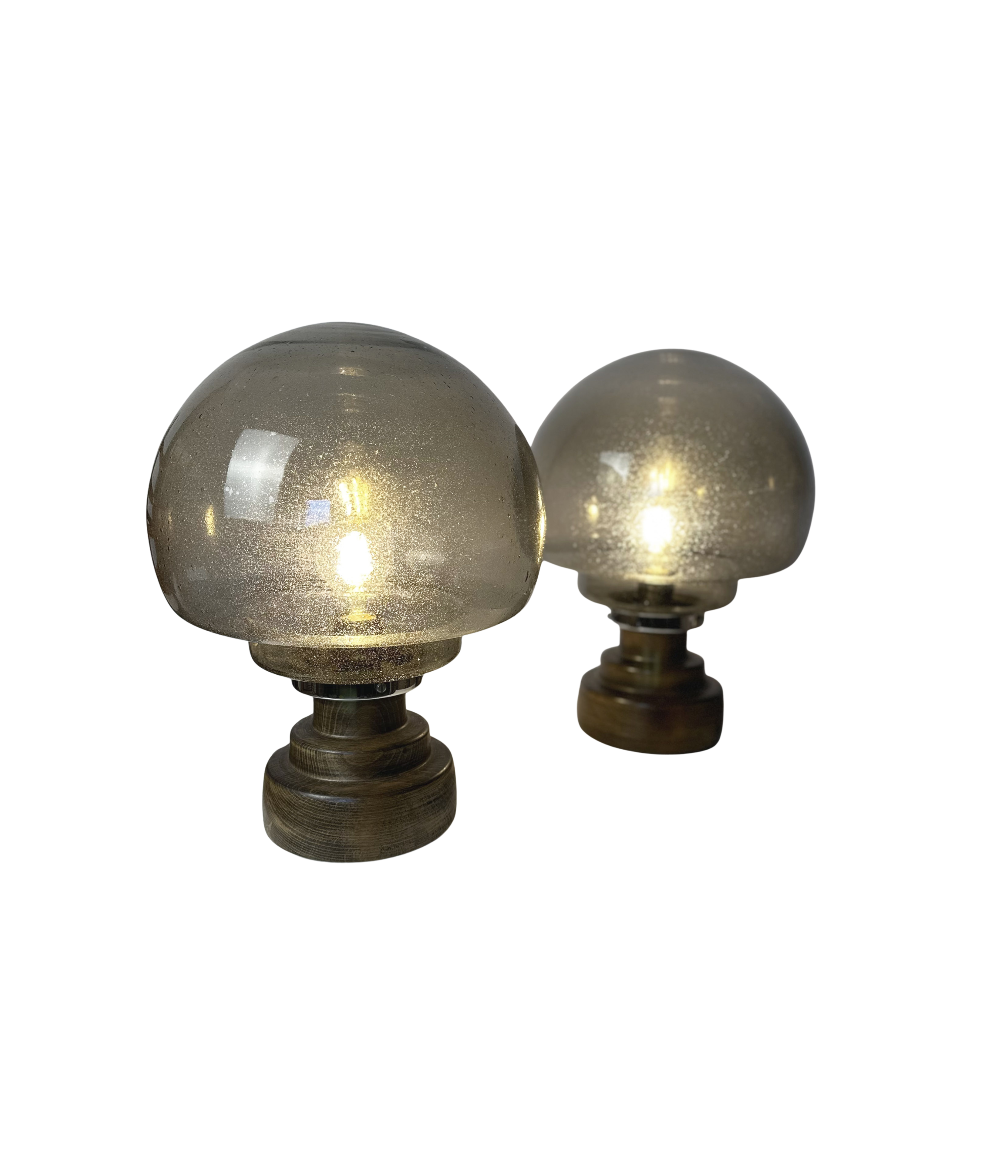 Set_of_2_Italian_Smoked_Seeded_Glass_Table_Lamps_on_Wooden_Base,_1970s