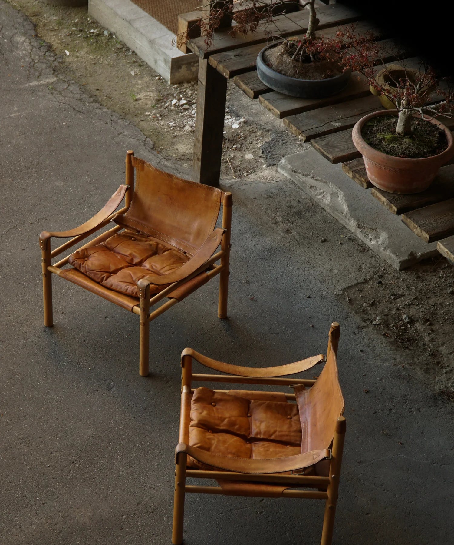 Set_of_2_Sirocco_Lounge_Chairs_by_Arne_Norell_in_Leather_and_Wood,_Sweden_1960s