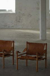 Set_of_2_Sirocco_Lounge_Chairs_by_Arne_Norell_in_Leather_and_Wood,_Sweden_1960s