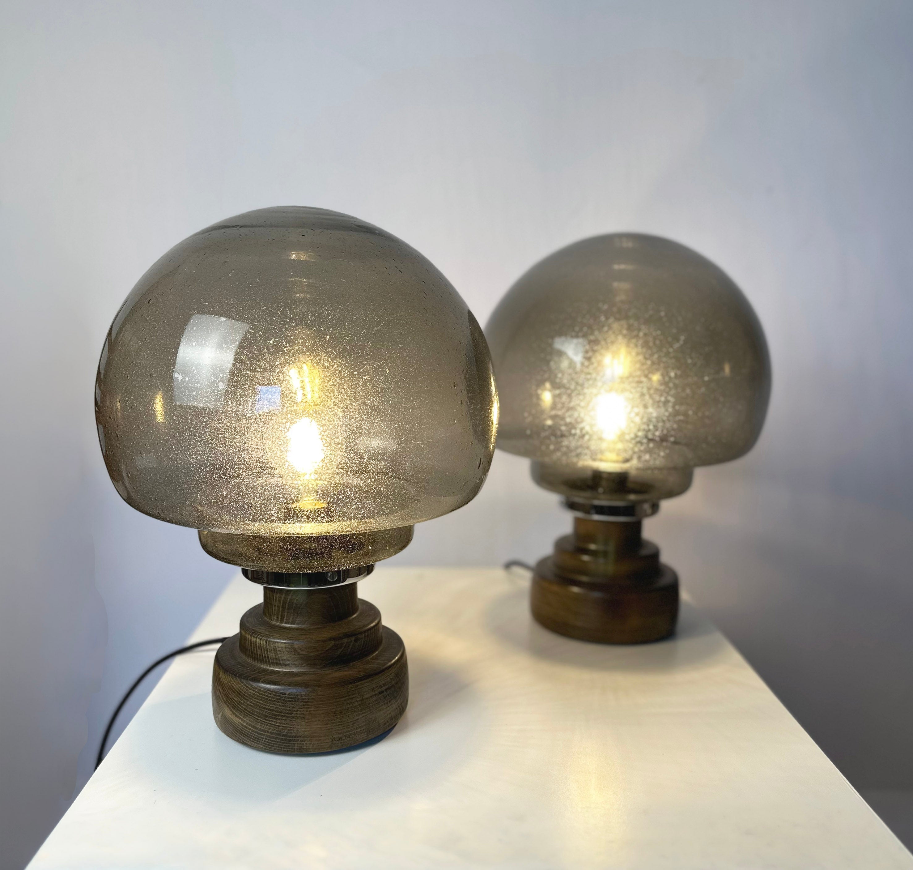 Set_of_2_Italian_Smoked_Seeded_Glass_Table_Lamps_on_Wooden_Base,_1970s