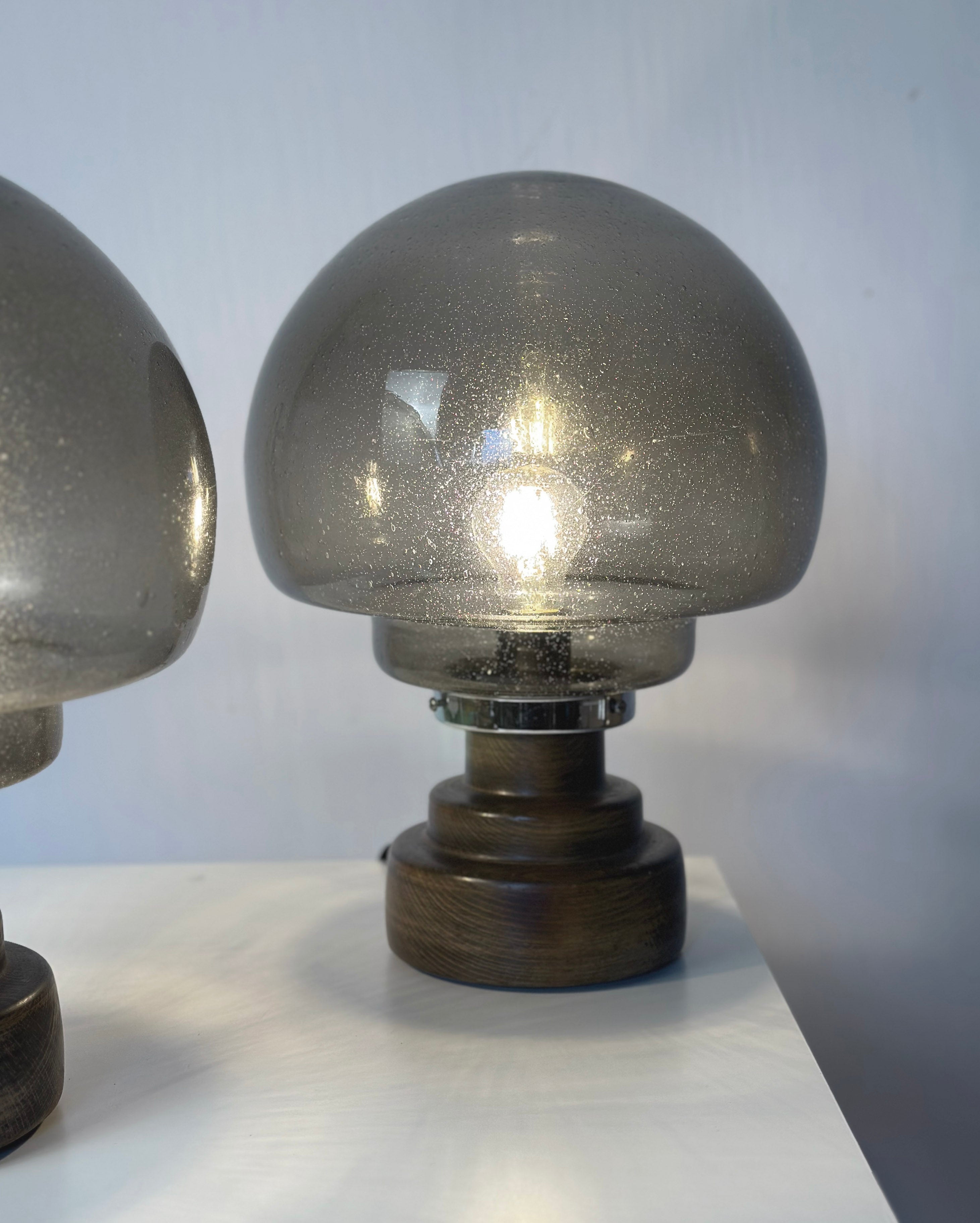 Set_of_2_Italian_Smoked_Seeded_Glass_Table_Lamps_on_Wooden_Base,_1970s