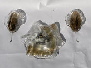 Set_of_3_Ceiling_Light_and_Wall_Sconces_by_J.T._Kalmar_for_Kalmar,_Mid_Century_Modern,_1960s,_Austria