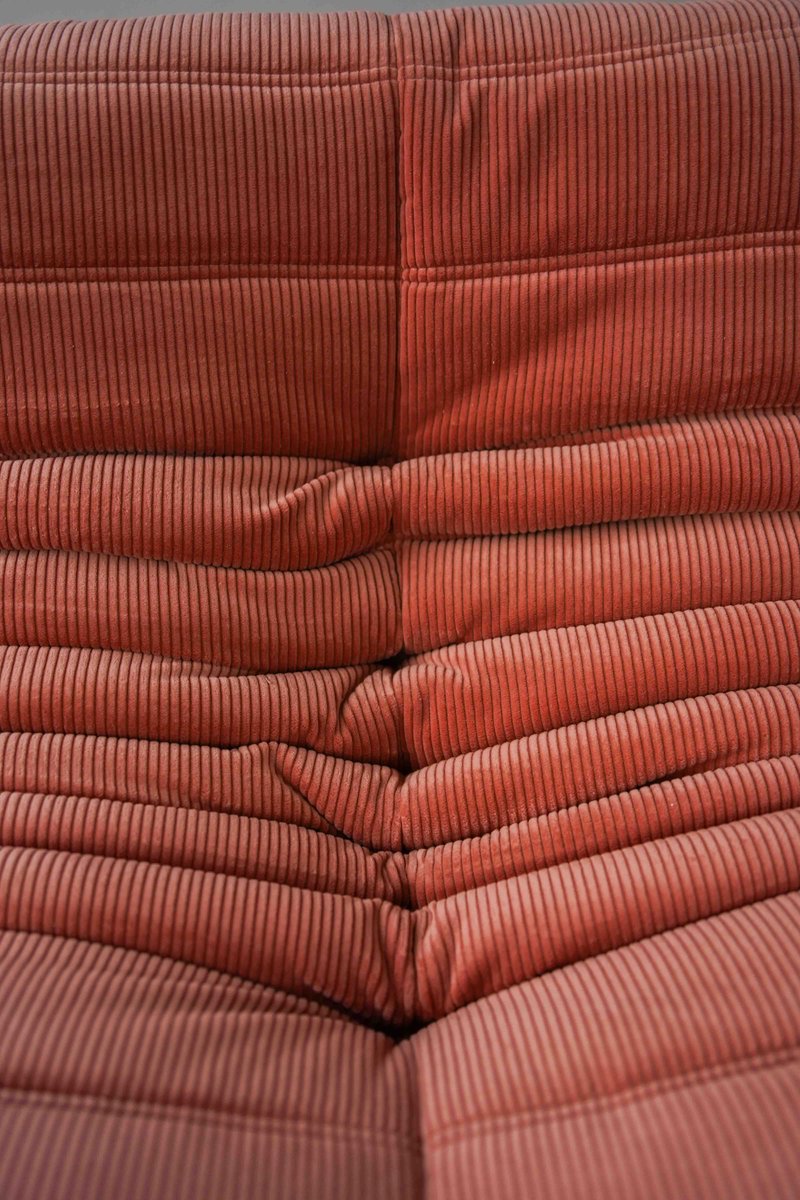 Set_of_5_Togo_Living_Room_Sofas_in_Coral_Curduroy_by_Michel_Ducaroy_for_Ligne_Roset,_1981