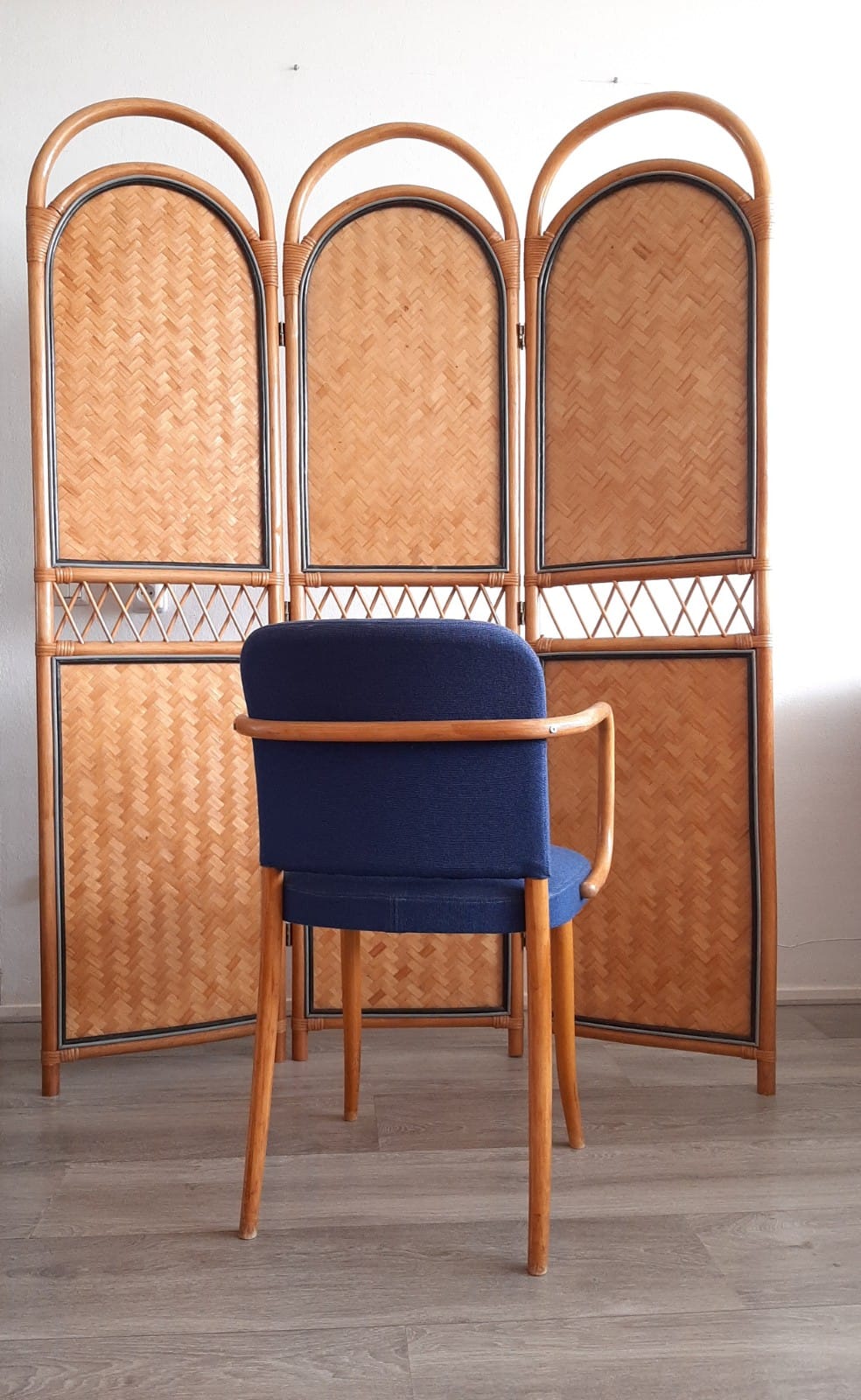 Set_of_6_Ligna_Dining_Chairs,_Josef_Hoffmann_Model_811,_Czech_Mid_Century_Bentwood_Chairs