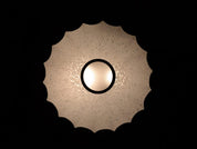 Speckled_Murano_Glass_Ceiling_Lamp,_Italy,_1960s