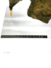 Statuetta_futuristica_24_in_bronzo_di_Lorena_Berg,_1920/30