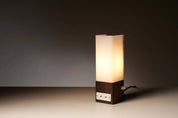 Table_Lamp,_Artiforte,_Rosewood,_1960s,_Netherlands