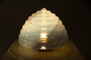 Table_lamp_by_Roberto_Pamio_&_Renato_Toso_for_Leucos,_Italy_1960s