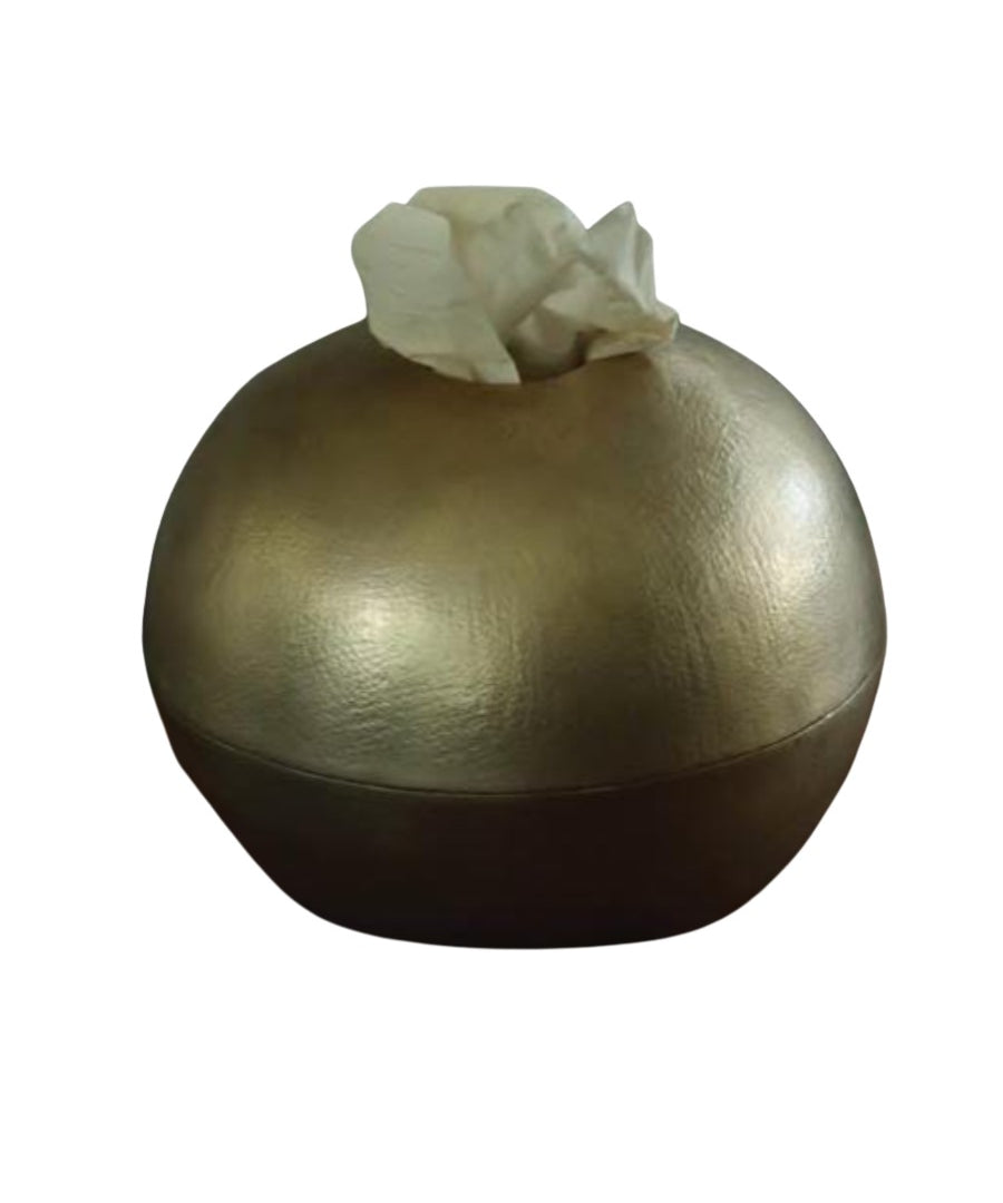 The_Ovoid_Keeper_Tissue_Paper_Holder_in_Brass