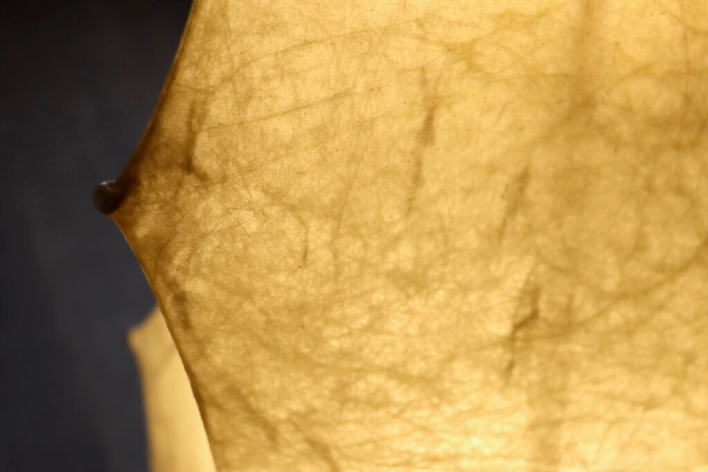 Tobia_Scarpa_Fantasma_Floor_Lamp_for_Flos,_Italy_1960s