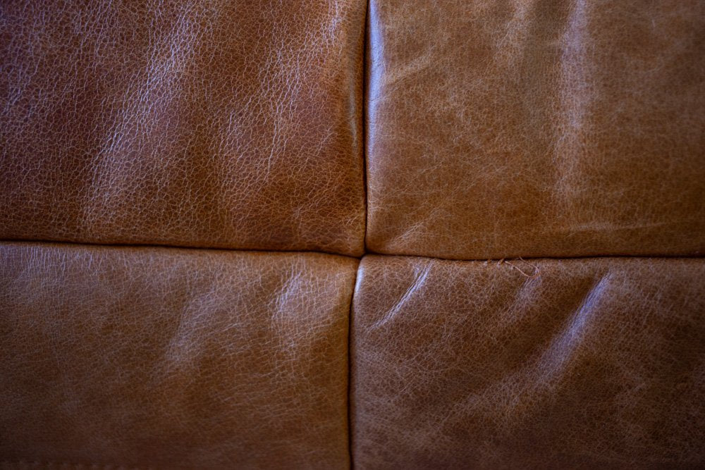 Togo_Two-Seater_Sofa_by_Michel_Ducaroy_for_Ligne_Roset,_Pine_Leather,_France