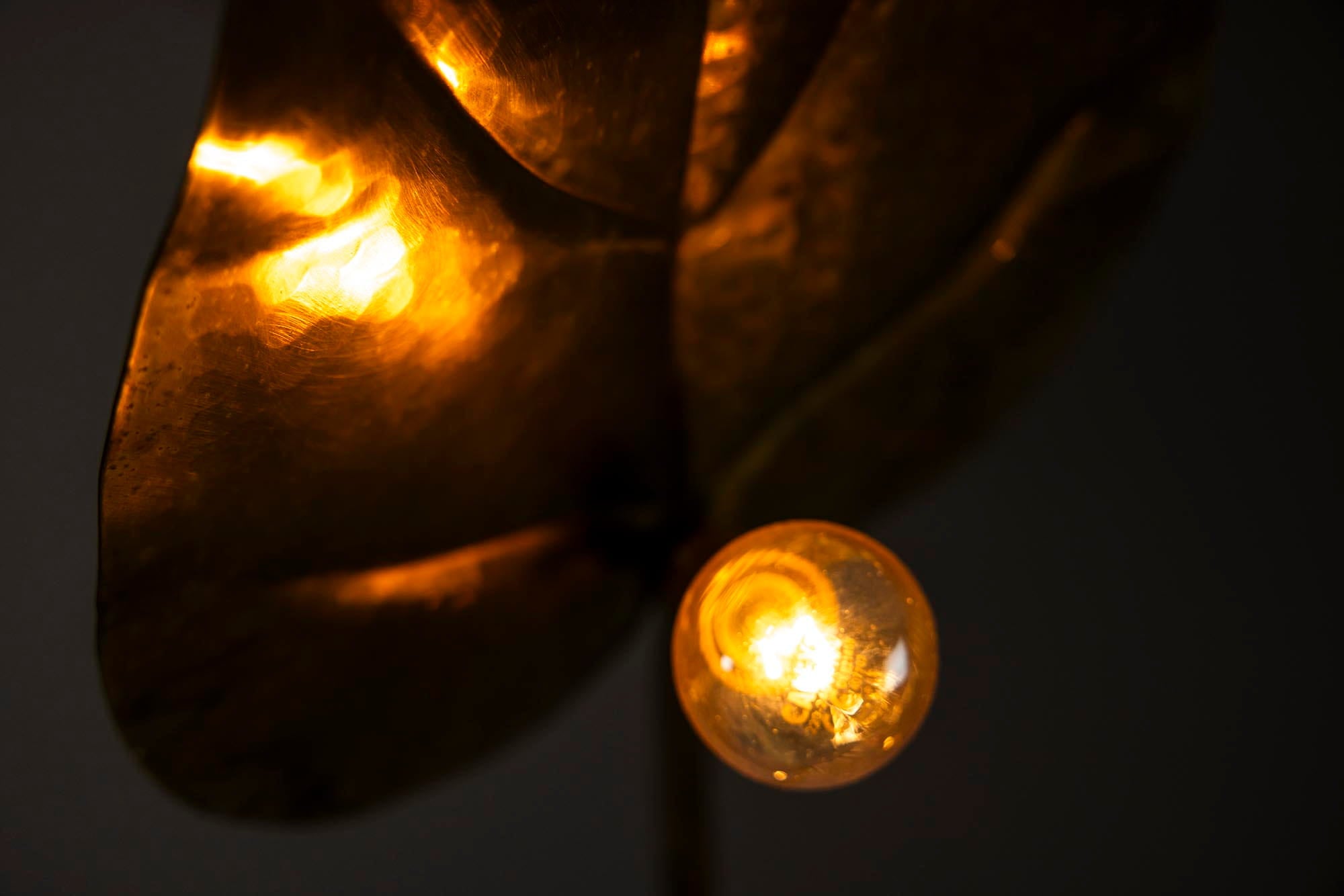 Tommaso_Barbi_Brass_Leaf_Floor_Lamp,_Italy_1970s
