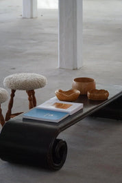 Vintage_Shanxi_Province,_Low_Console_Table_/_Bench_in_Elm_Wood_with_Scroll_Legs